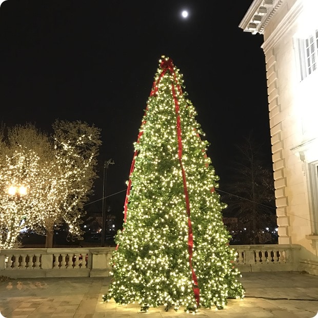 continental hall christmas tree
