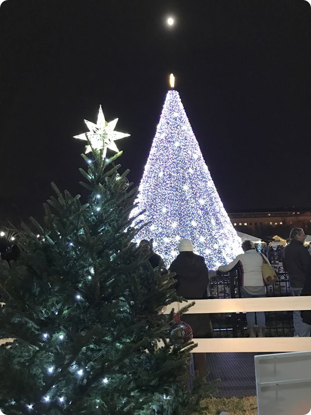 National christmas tree