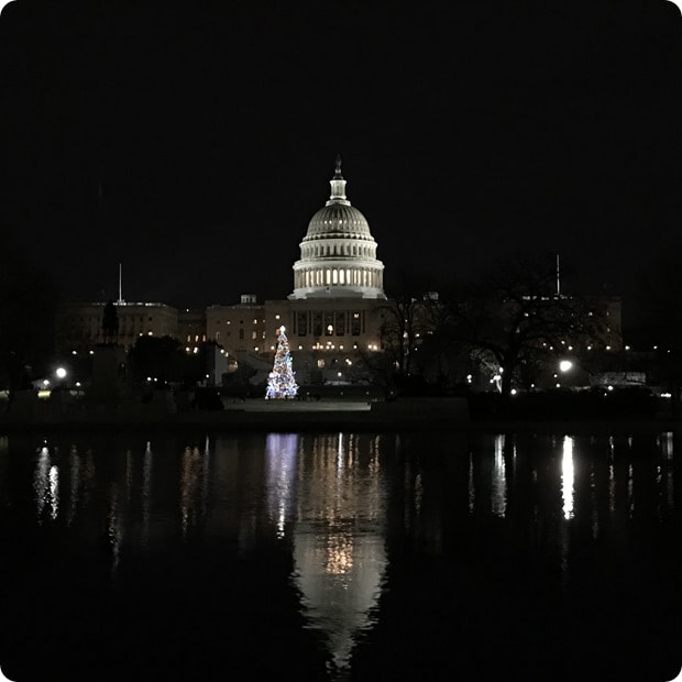 capitol christmas tree