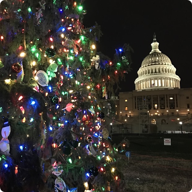 capitol christmas tree dc