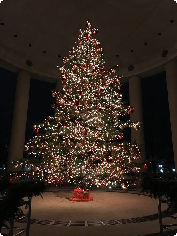 canadian embassy christmas tree