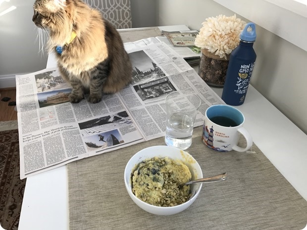 healthy microwave breakfast