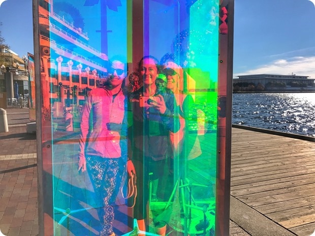 georgetown outdoor light exhibition