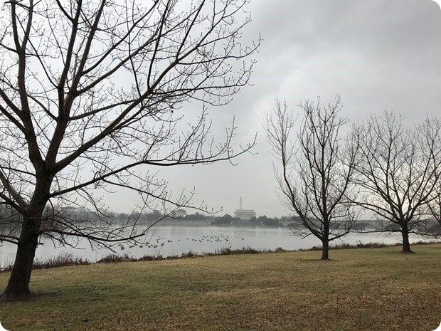 view of dc from mt vernon trail