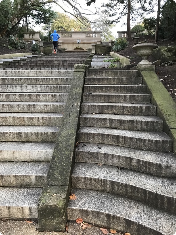 washington dc spanish steps