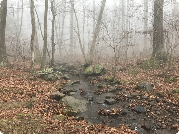 lands run falls winter
