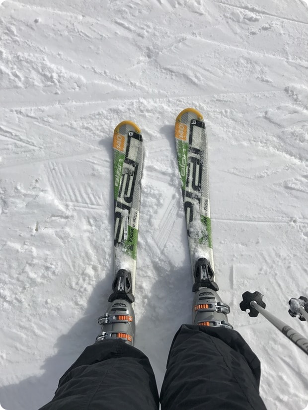 skiing whitetail