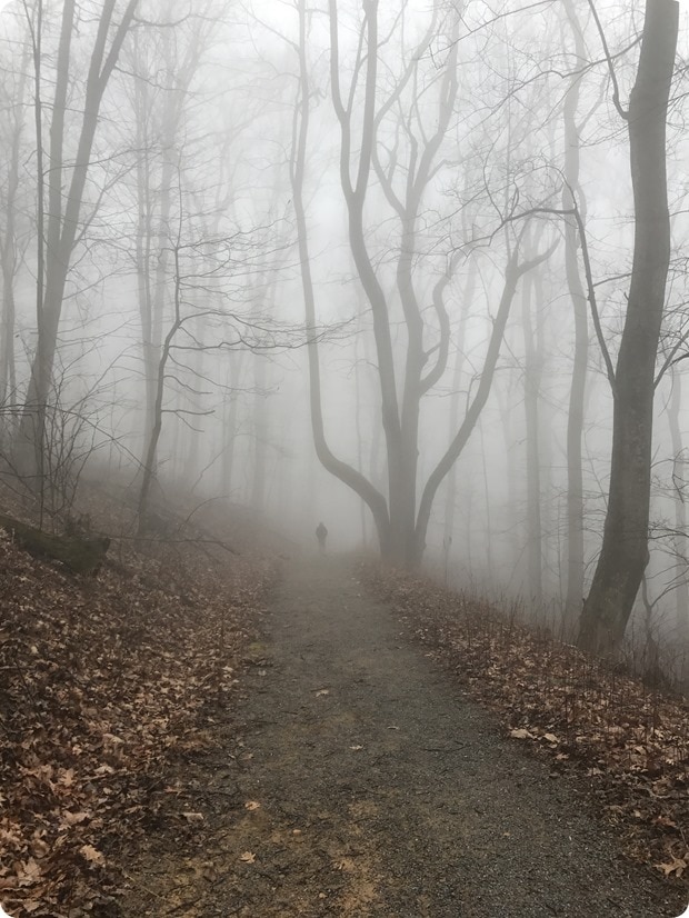 shenandoah hike fog