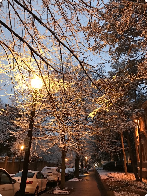 georgetown snow