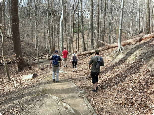 potomac overlook regional park