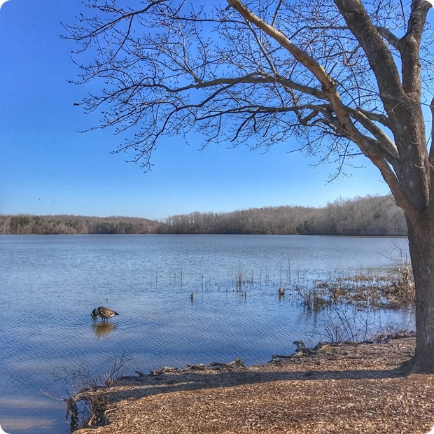 salem lake