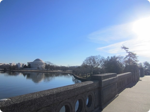 tidal basin run