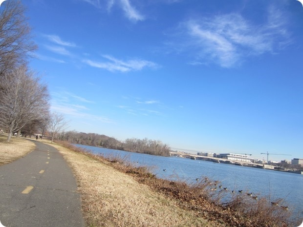 mt vernon trail running