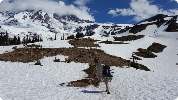 mt rainier hike muir snowfields