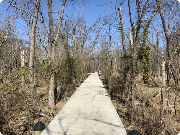running roosevelt island