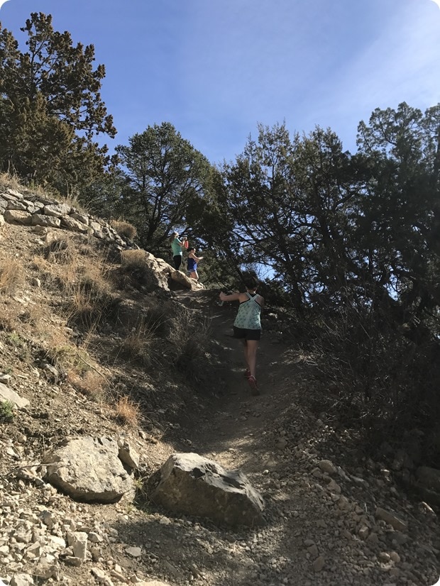 cibola national forest hike