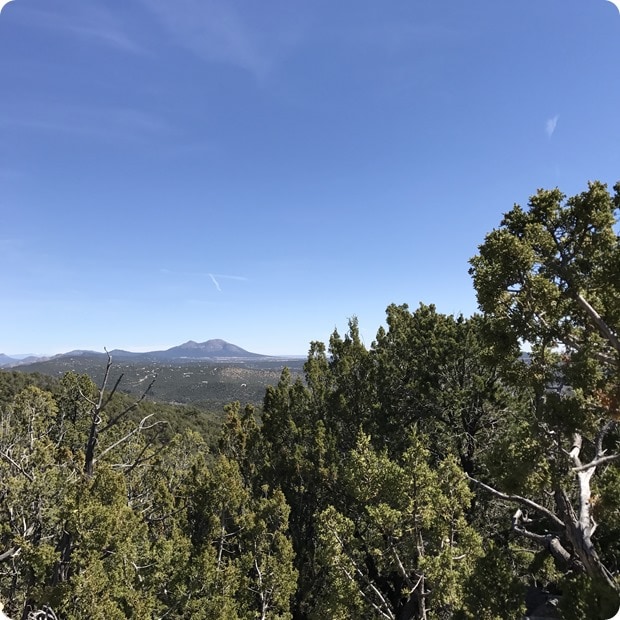 hiking in albuquerque