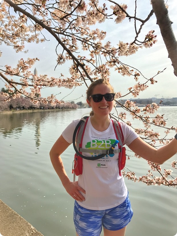 2017 dc cherry blossom