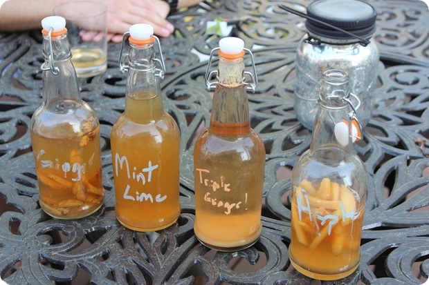 kombucha homebrew