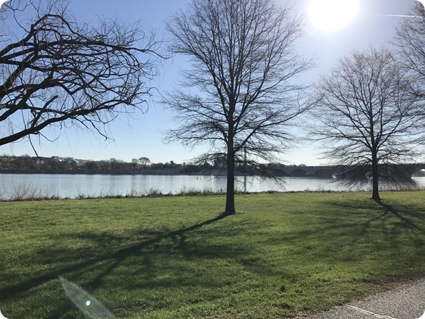 spring in dc