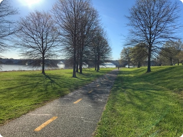 mt vernon trail run