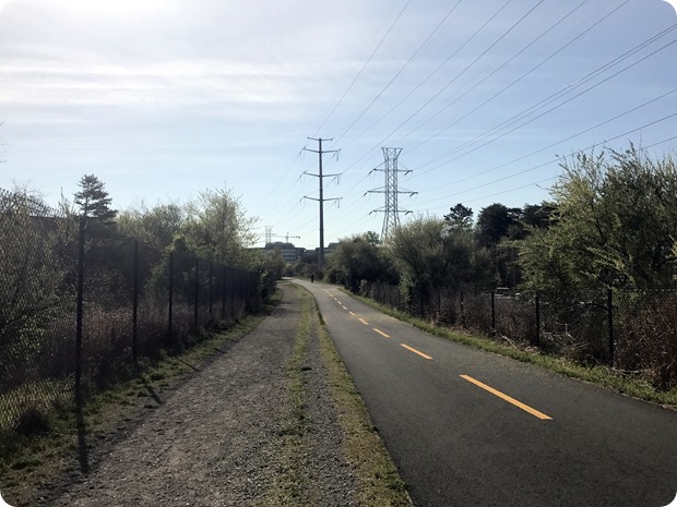 w&od trail reston