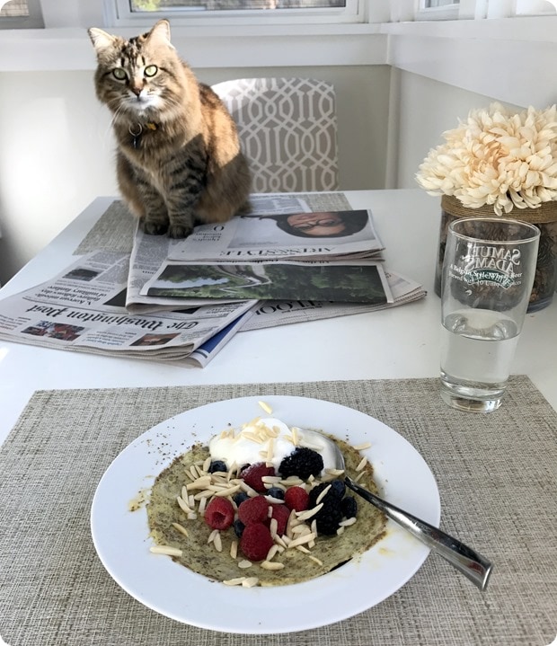 breakfast with a cat