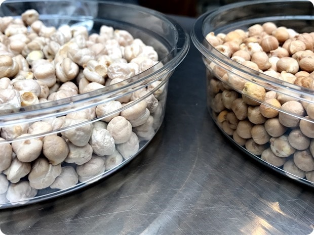 chickpea varieties