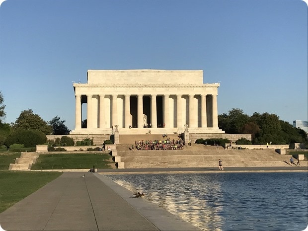 november project dc