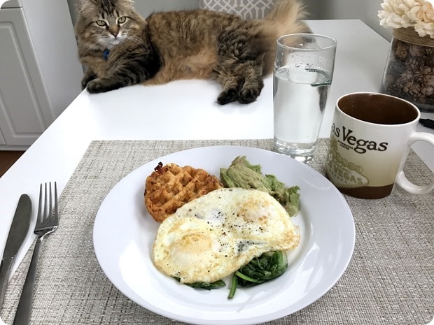 savory waffle eggs