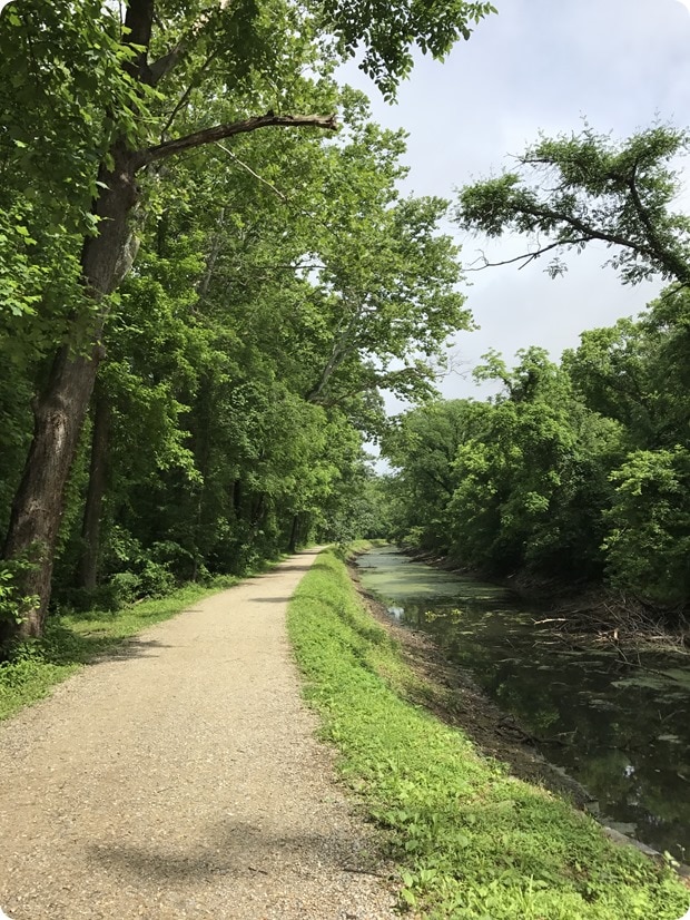 c&o canal trail running