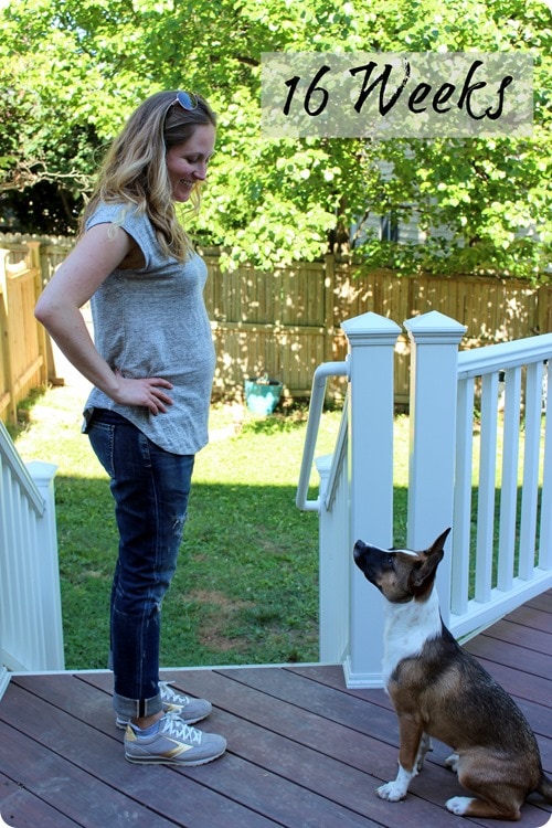 16 weeks pregnancy update