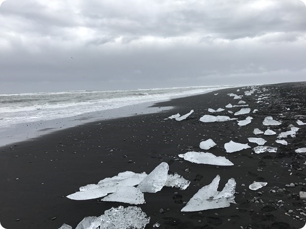 black sand beach with icebergs iceland
