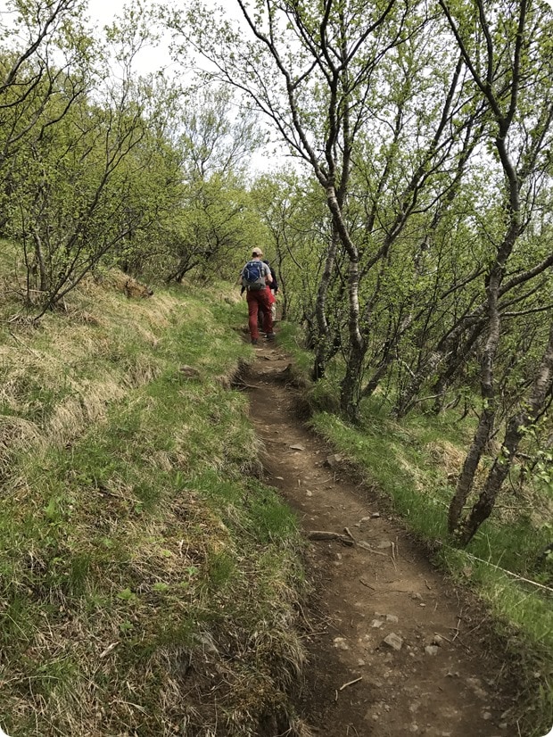 skaftafell hiking