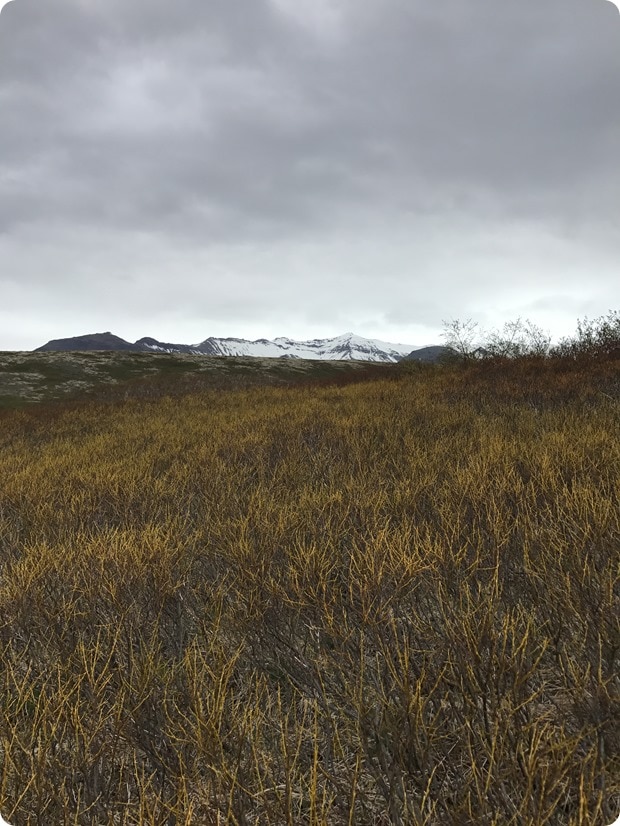 skaftafell hike