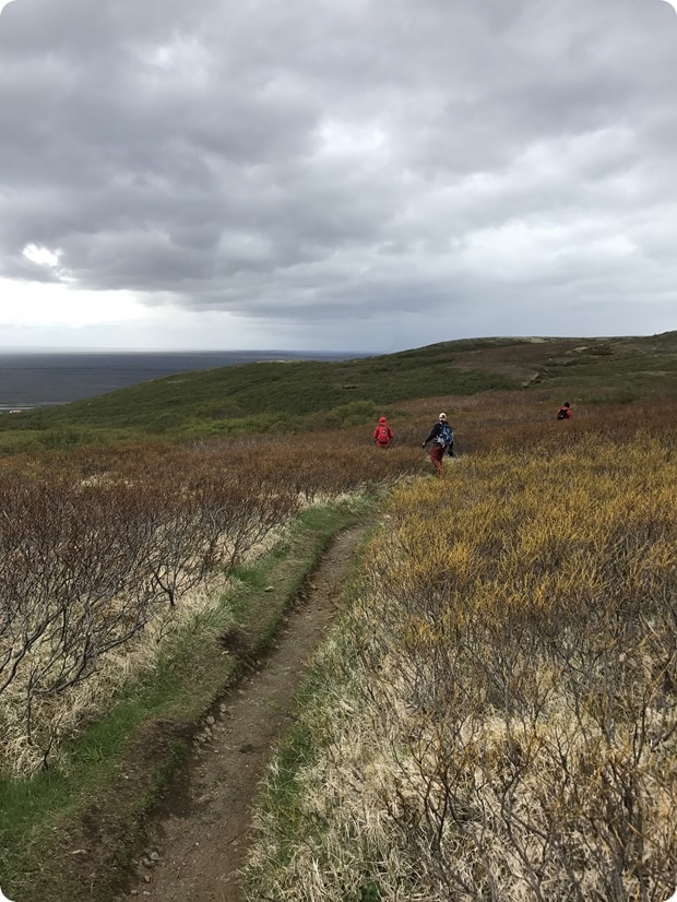skaftafell hike