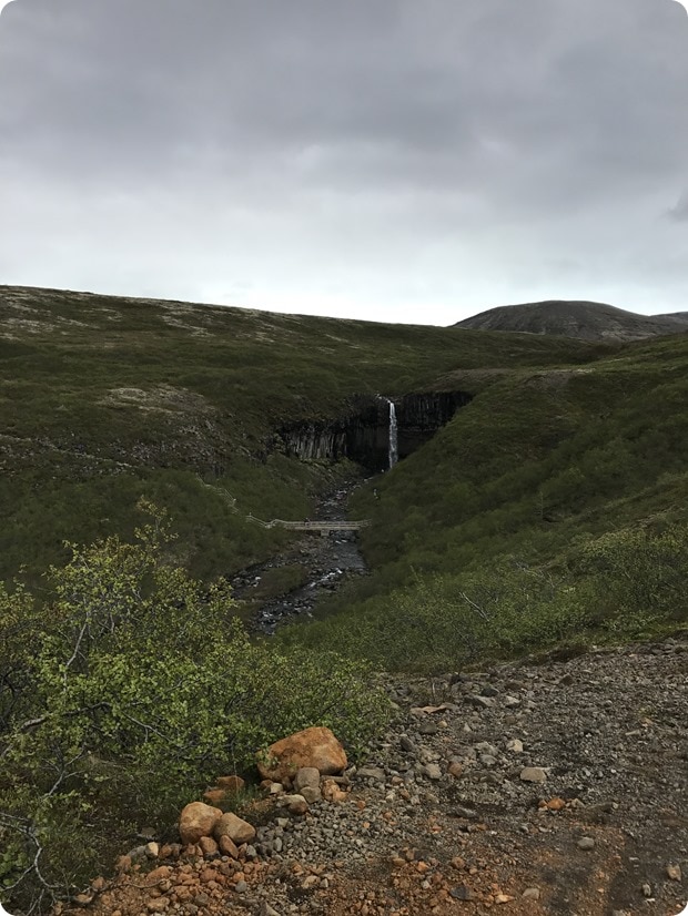 Svartifoss