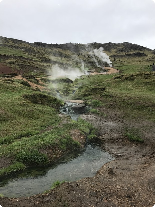 Reykjadalur Hot Springs Hike