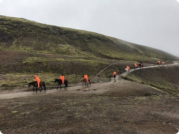 Reykjadalur Hot Springs Hike horseback riding
