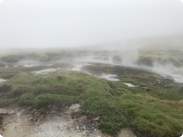 Reykjadalur Hot Springs Hike