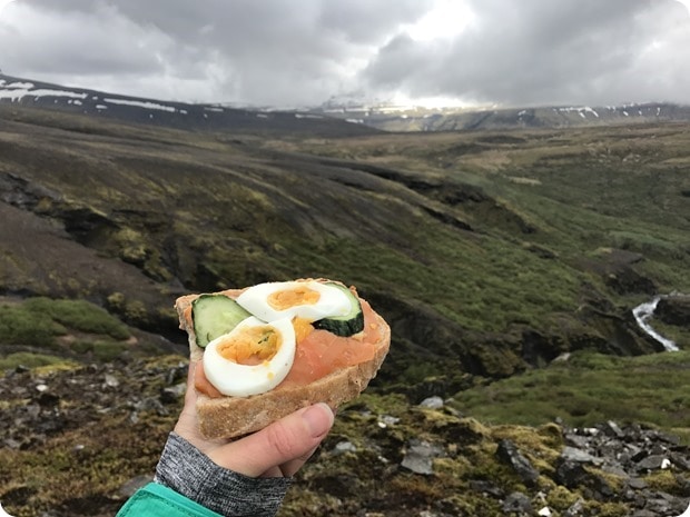 packed lunch iceland