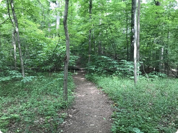 scott's run nature preserve