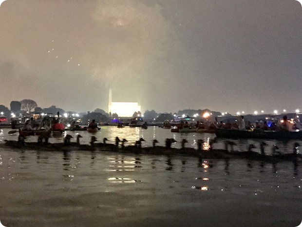 geese with fireworks on potomac river