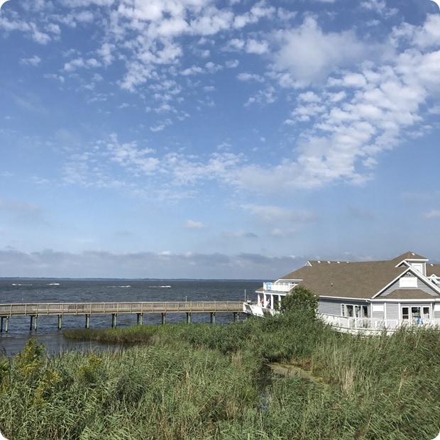 duck nc
