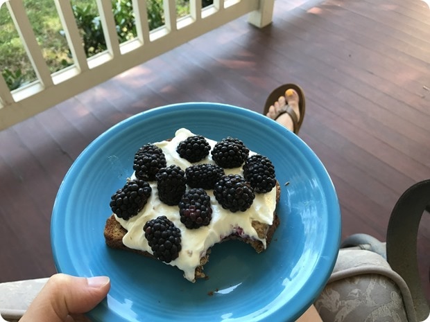 toast with nut butter yogurt fruit