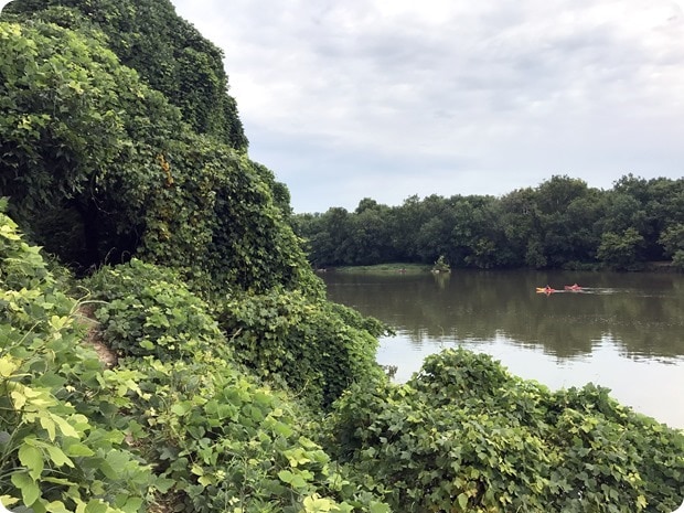 trail jogging potomac river overlook