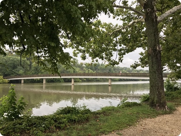 running roosevelt island