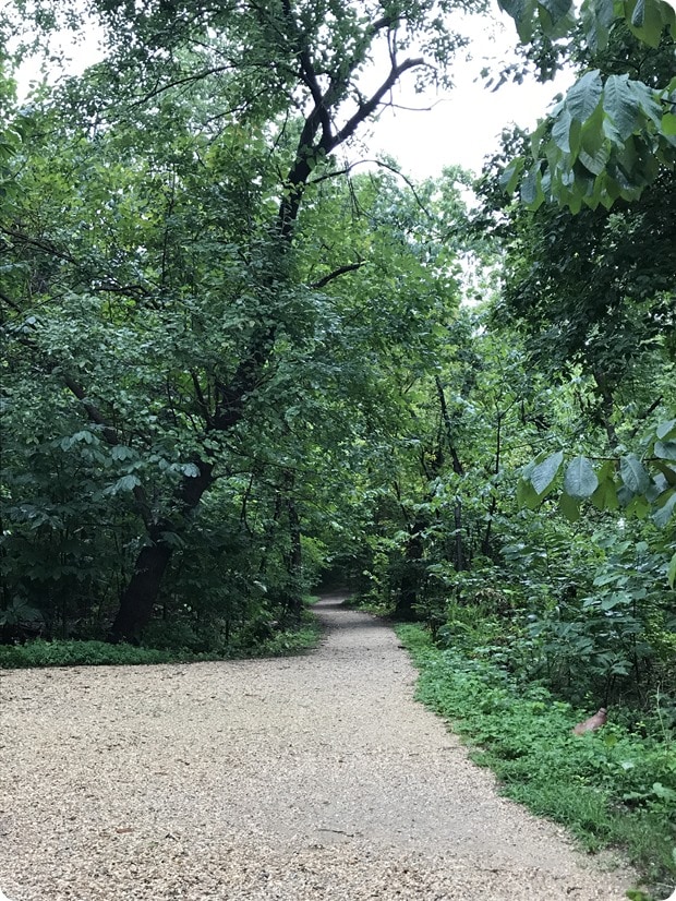 roosevelt island running