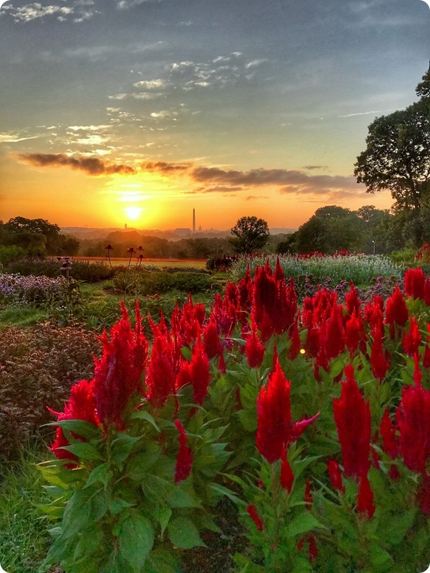 sunrise over washington dc