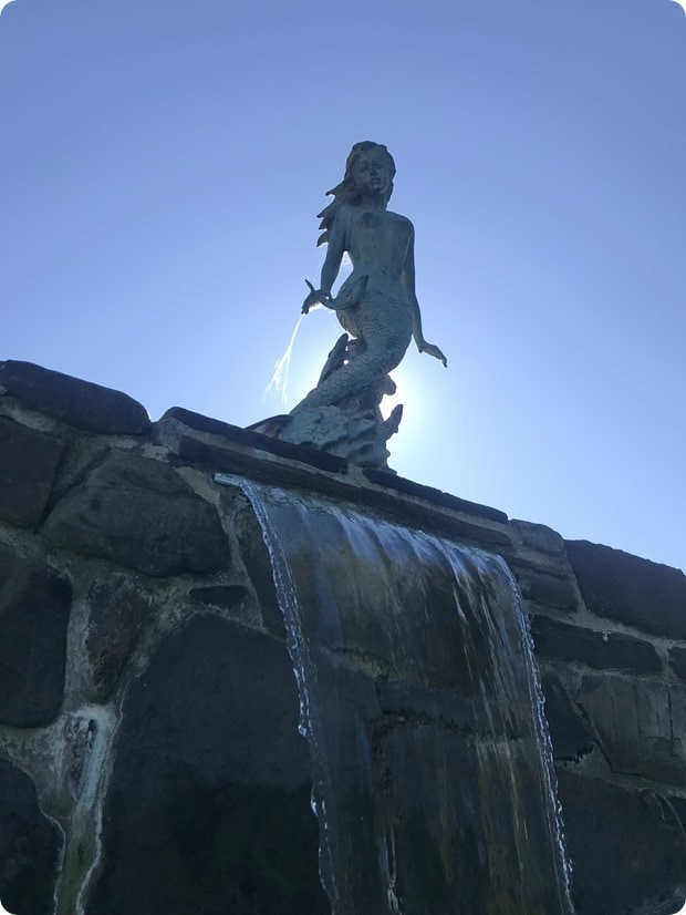 glen gordon manor pool